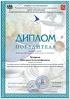2020-2021 Чухарев Григорий 4а (город-экономика)